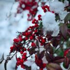 名称未設定のデザイン (1)