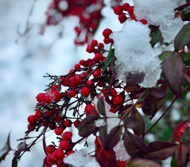 名称未設定のデザイン (1)