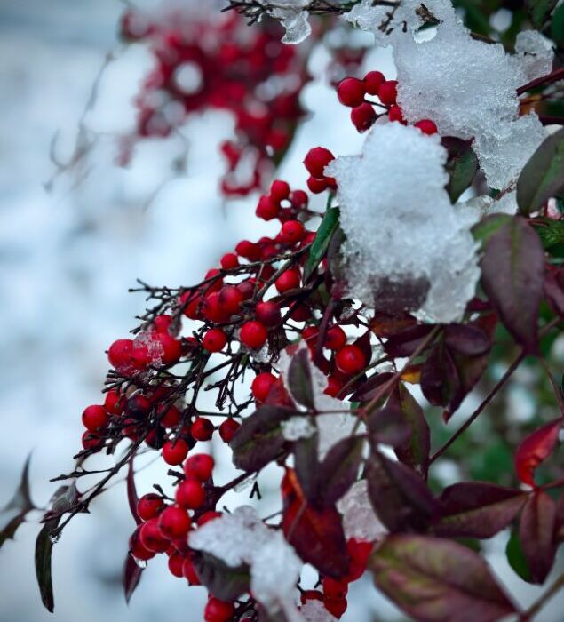 名称未設定のデザイン (1)